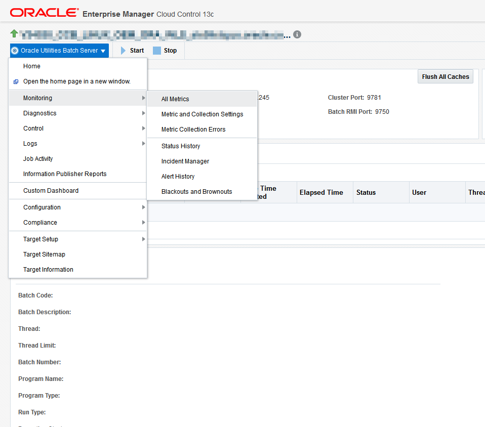 Select Oracle Utilities Batch Server then the Monitoring menu item then All Metrics to access batch level of service metrics.