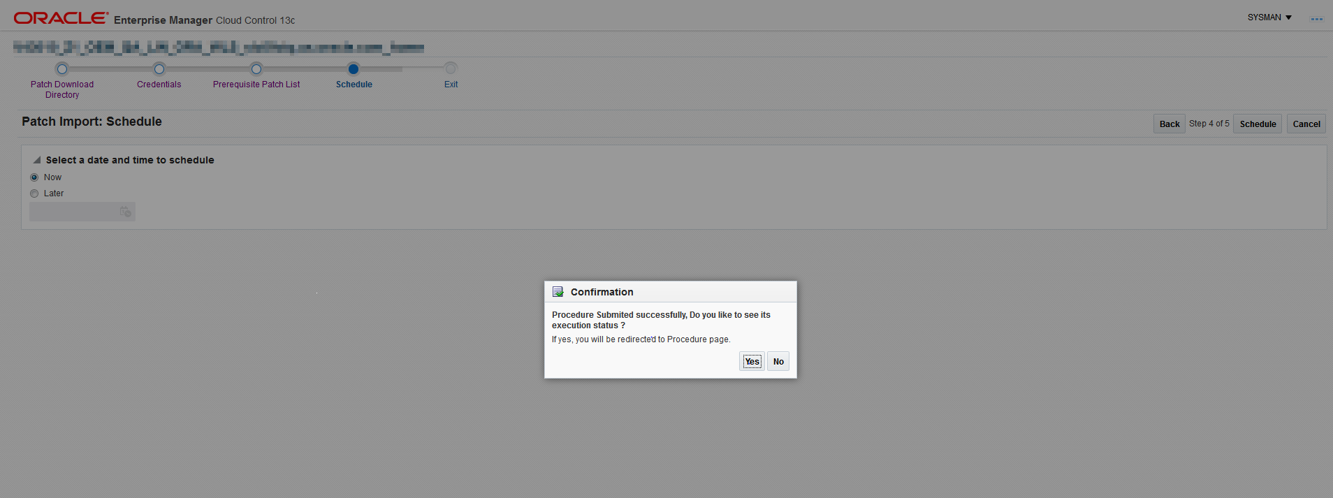 The Confirmation dialog starts the patch import or its cancellation.
