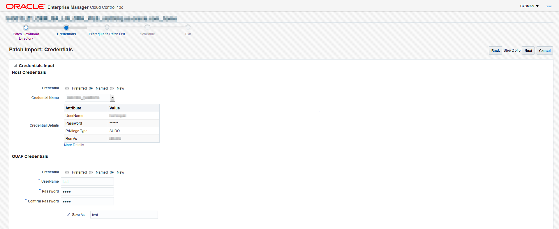 The Credentials screen indicates the host and Framework credentials for the patch import.