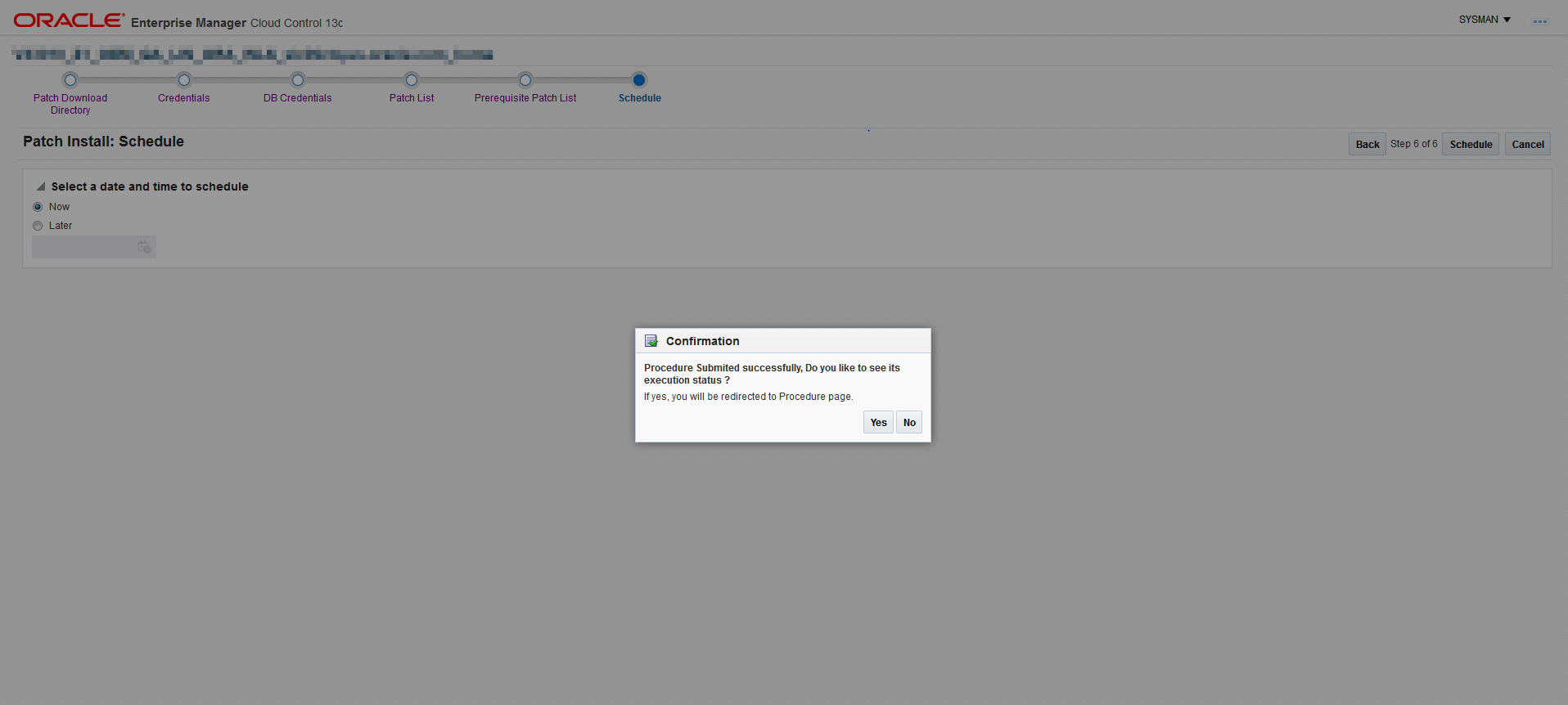 The Confirmation dialog starts the patch install or its cancellation.