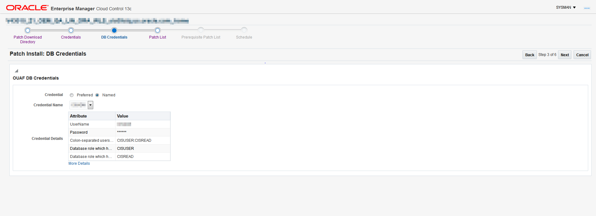 The DB Credentials screen indicates the Framework database credentials for the patch install.