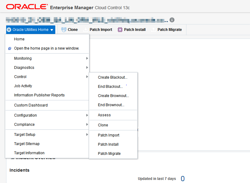 Users with Administrator privileges have complete access to functions in the Oracle Utilities Home menu.