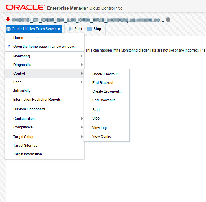 Users with Operator privileges can access functions from the Oracle Utilities Batch Server menu.