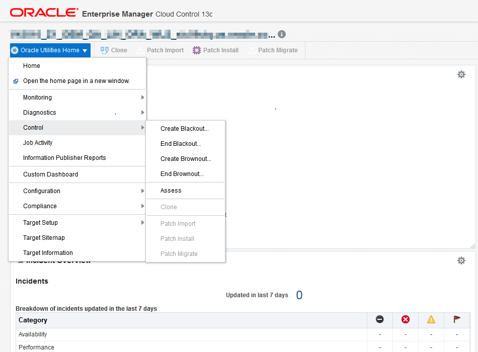 Users with Operator privileges can access functions from the Oracle Utilities Home menu.