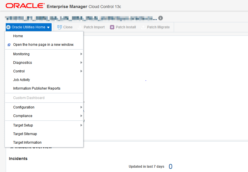 Users with Read-only privileges can only access several functions in the Oracle Utilities Home menu.