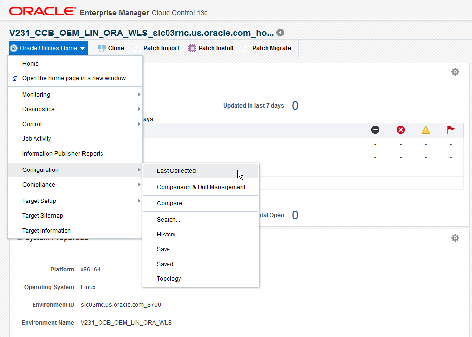 Ensure the information of installed products are collected by selecting the Target menu and Configuration then Last Collected. From the Target home page, select the Action menu and click Refresh.