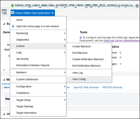 Selecting the Control and View Config menu items from the Target home page initiate the reviewing of an environment's configuration details.