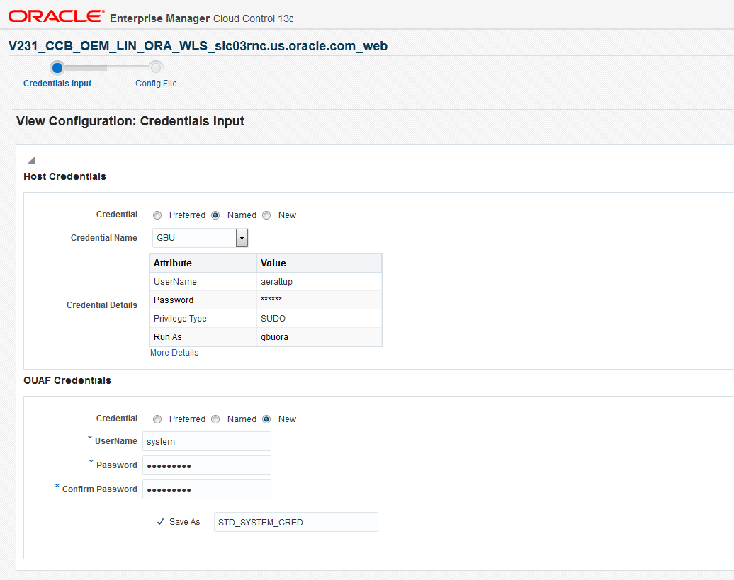 The Credentials page captures the username and password for the environment to be reviewed or provides a set of saved credentials.