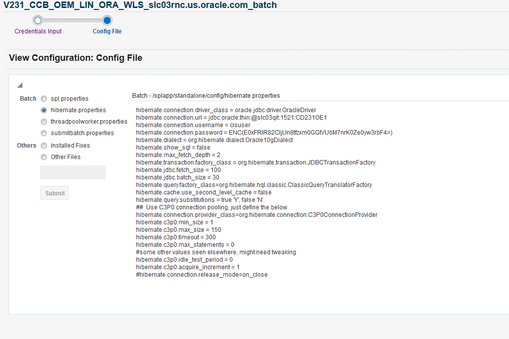 Clicking the Submit buton retrieves the selected configuration file and shows its details in a scrollable text area.