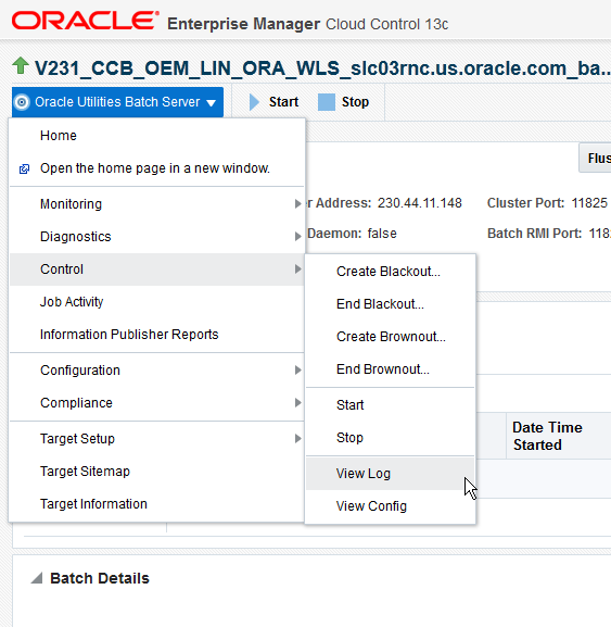 Selecting the Control and View Log menu items from the Target home page initiate the reviewing of log files generated at the application server level.