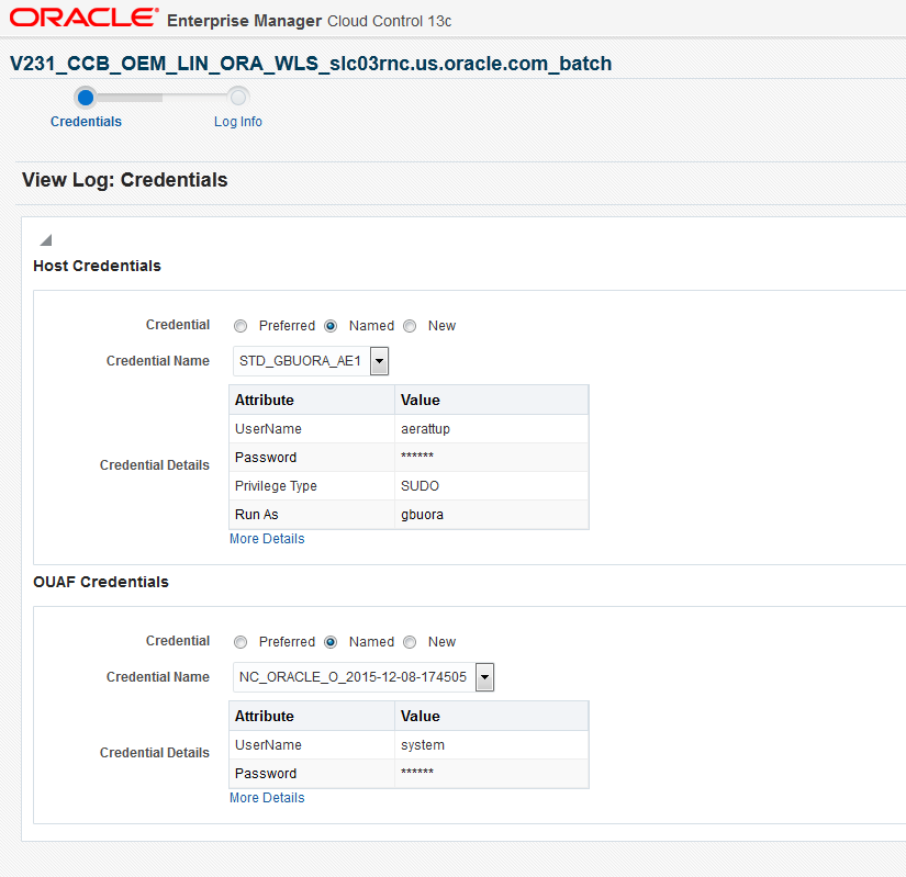 The Credentials page captures the username and password for the environment to be reviewed or provides a set of saved credentials.