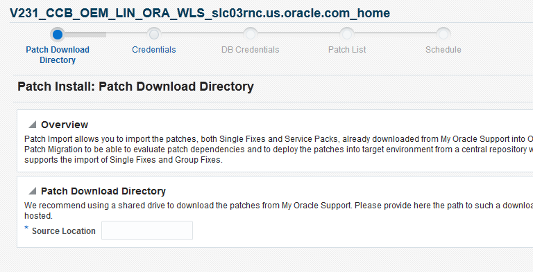 Opening the Oracle Utilities Application Framwork Target home page and clicking the Patch Install button initiates the patch installation process.