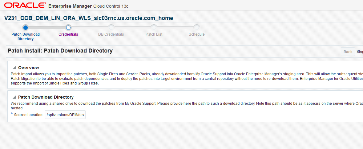 The Patch Download Directory is the first page for patch installation and it collects the download directory to be used during the patch import.