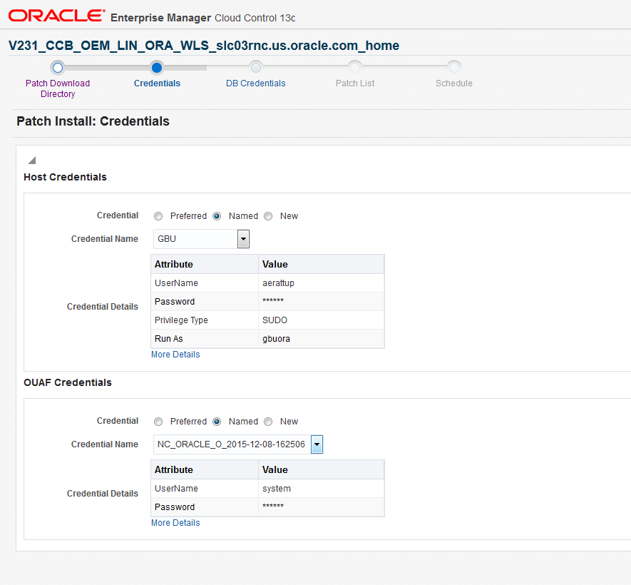 The Credentials is the second page for patch instllation and it collects the username and password for the environment or provides a set of saved credentials.