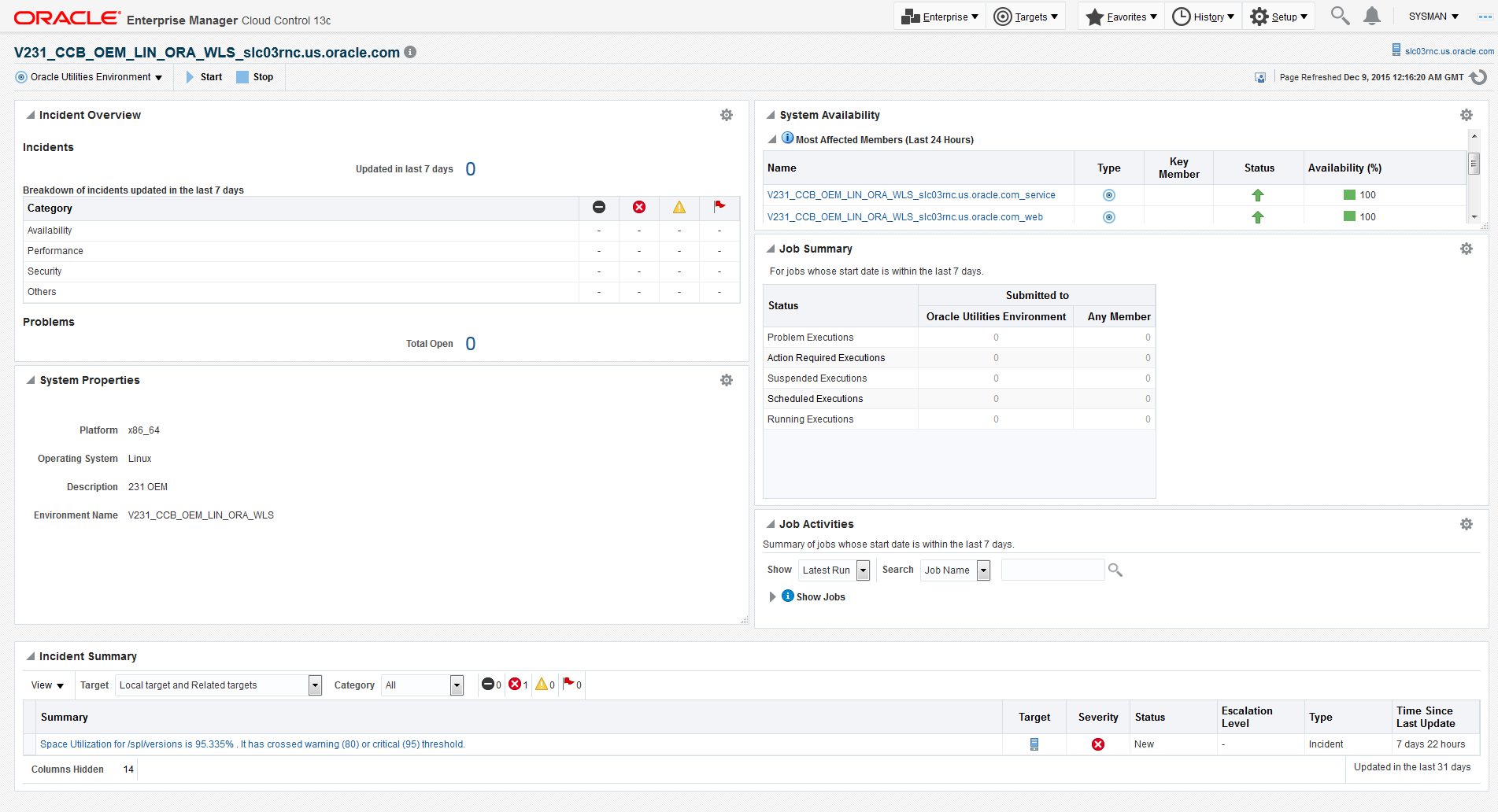 The Environment Target home page is comprised of the System Properties, System Availability, Job Summary, Job Activity, and Incidents & Problems regions.