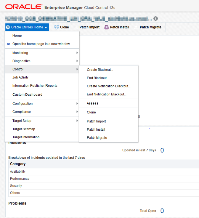 Start the environment assessment through the Oracle Utilities Application Framework Home target page by selecting the Control and Assess menu items.