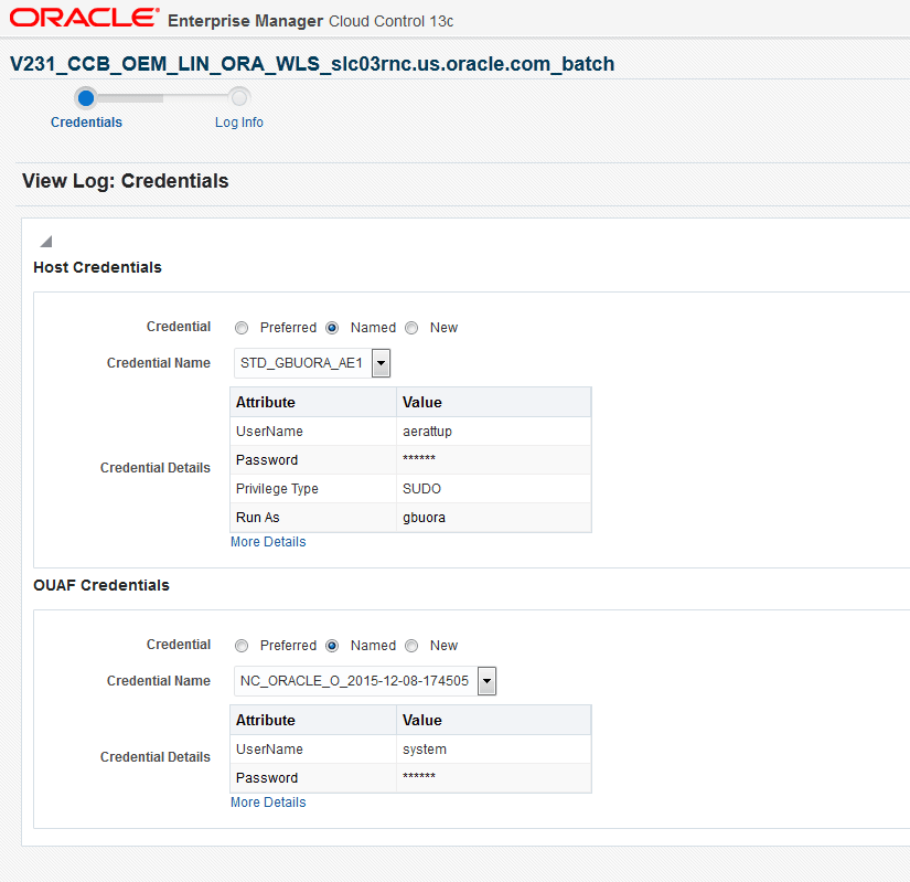 The Credentials page captures the username and password for the environment to be reviewed or provides a set of saved credentials.