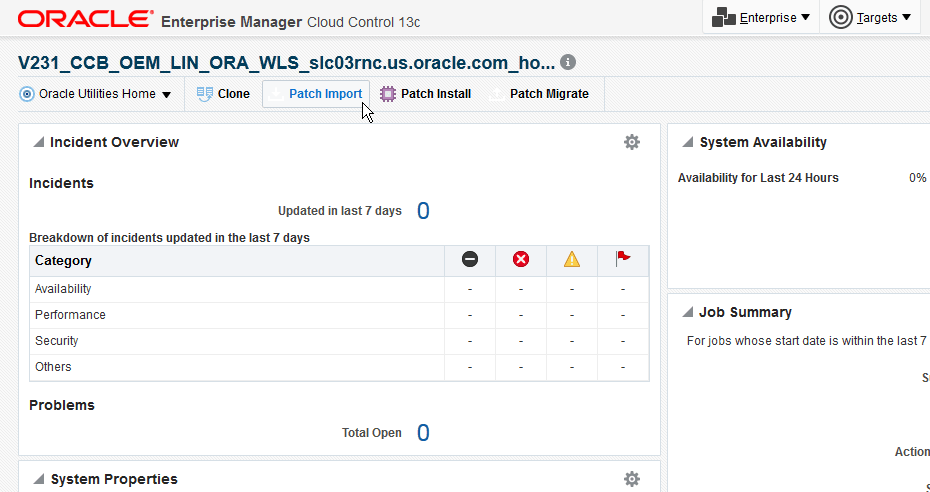Opening the Oracle Utilities Application Framwork Target home page and clicking the Patch Import button initiates the patch import process.