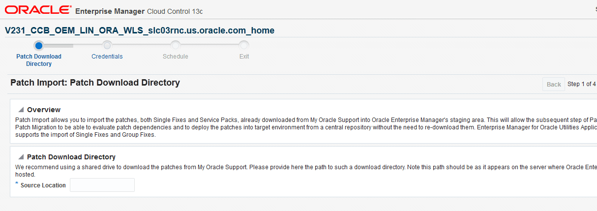 The Patch Download Directory is the first page for patch import and it collects the download server directory to be used during the process.