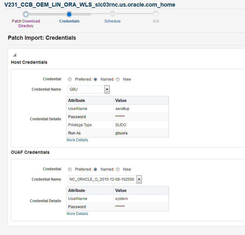 The Credentials is the second page for patch import and it collects the username and password for the environment or provides a set of saved credentials.