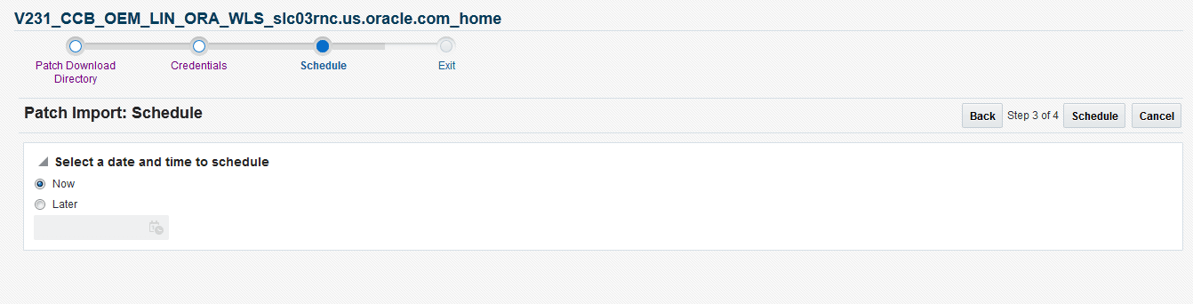 The Schedule is the third page for patch import and it sets the date and time for importing the patch.