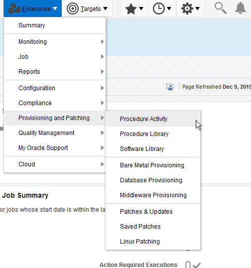 Selecting the Enterprise menu then Provisioning and Patching and the Procedure Activity menu item initiates the review of the patch import process.