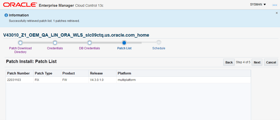 The Patch List is the fourth page for patch installation and it lists the valid patches for the target environment based on product, release, and platform.