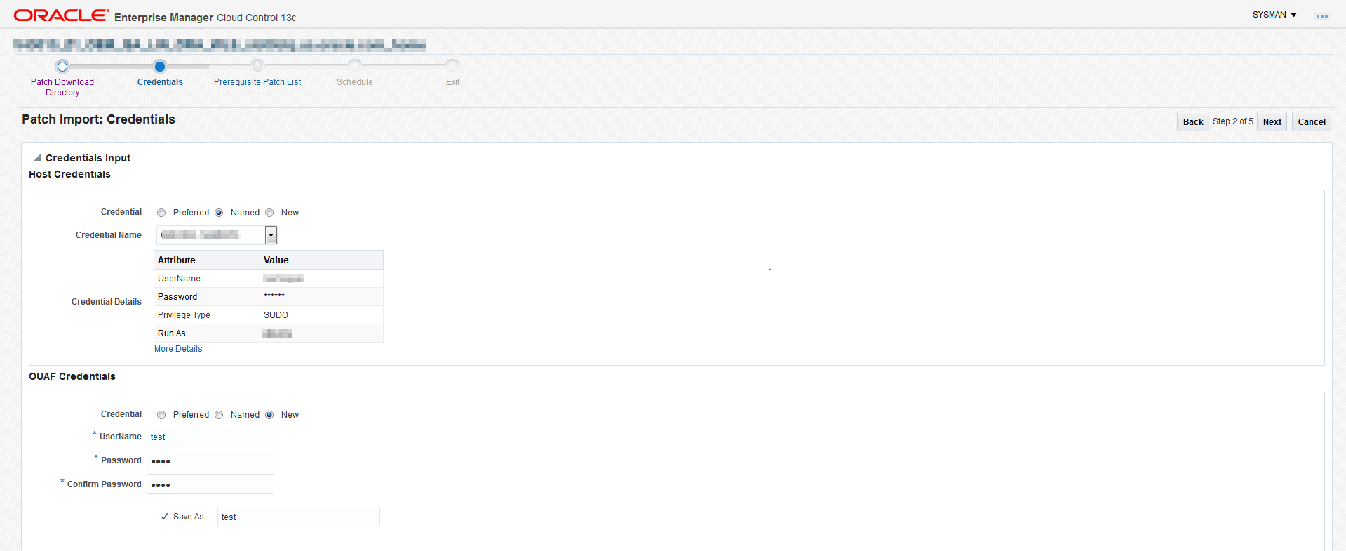 The Credentials screen indicates the host and Framework credentials for the patch import.