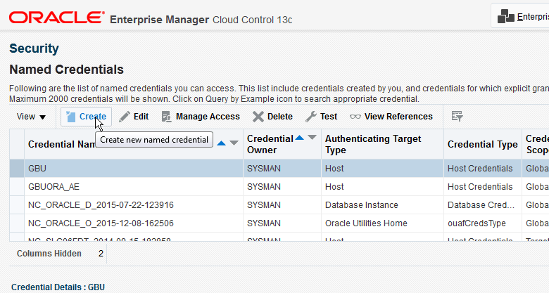 Selecting the Create button opens the Create Credentials page.