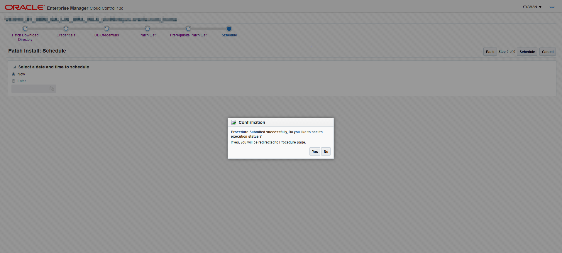 The Confirmation dialog starts the patch install or its cancellation.