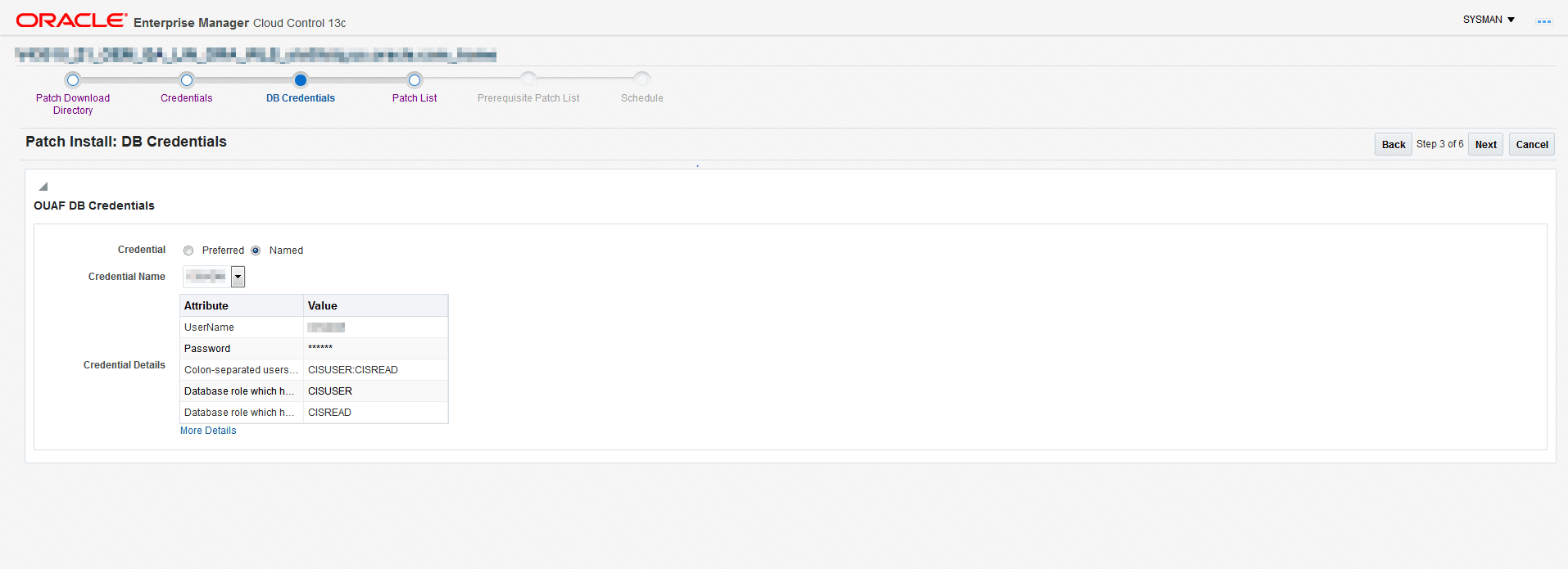 The DB Credentials screen indicates the Framework database credentials for the patch install.