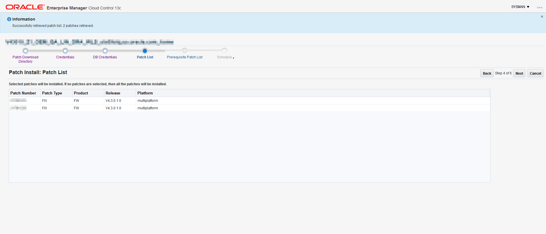 The Patch List screen shows the valid patches for the target environment.