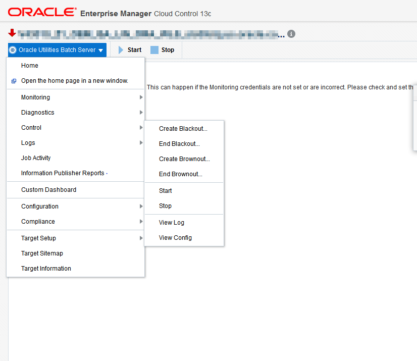 Users with Administrator privileges have complete access to functions in the Oracle Utilities Batch Server menu.