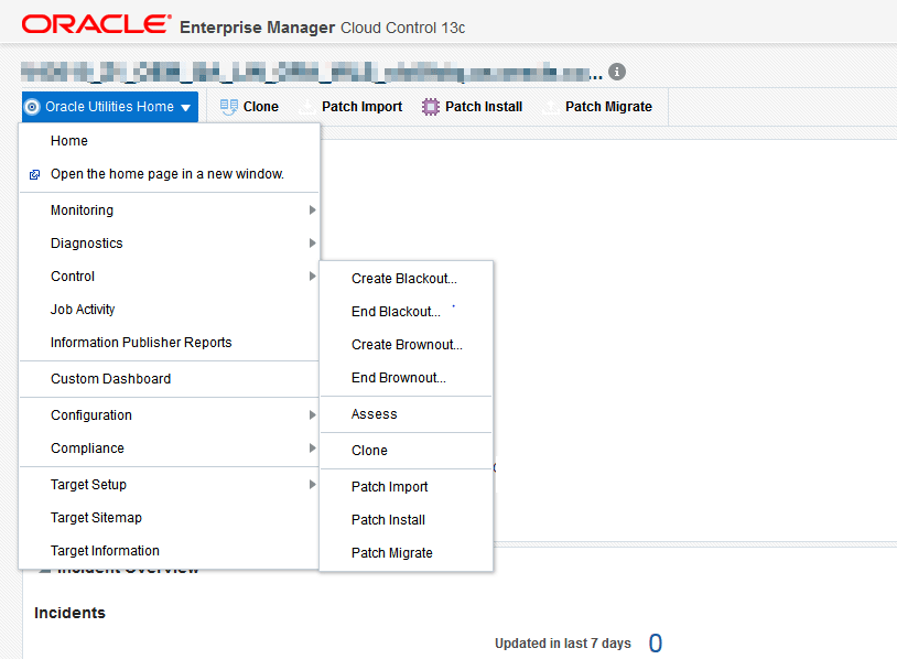 Users with Administrator privileges have complete access to functions in the Oracle Utilities Home menu.