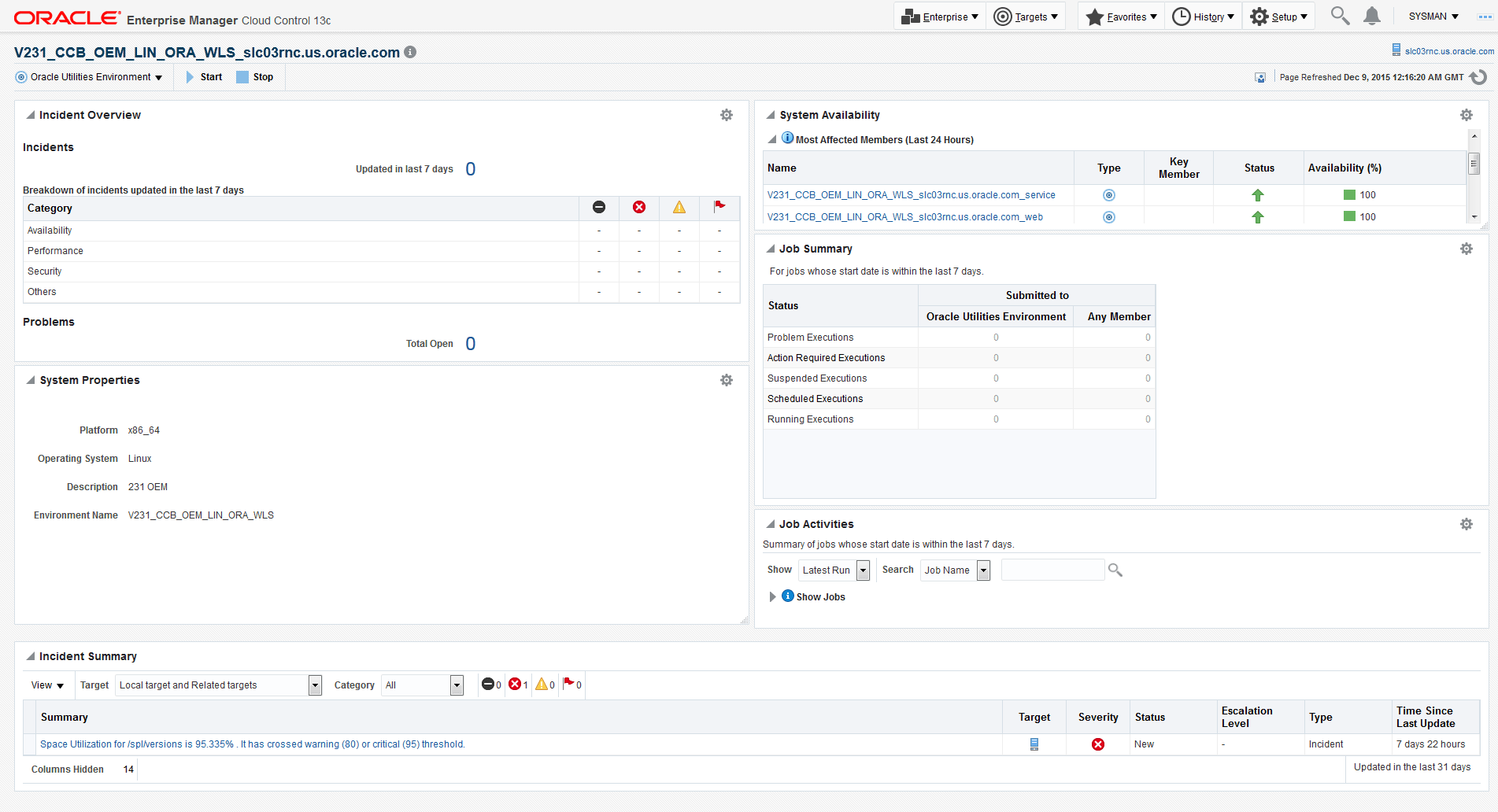 The Environment Target home page is comprised of the System Properties, System Availability, Job Summary, Job Activity, and Incidents & Problems regions.