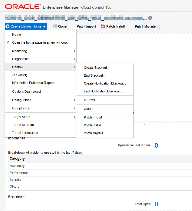 Start the environment assessment through the Oracle Utilities Application Framework Home target page by selecting the Control and Assess menu items.