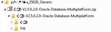 Extract the files from the Oracle-Database-MultiplatForm.zip file into the /DB folder.