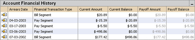 Example Account Financial History Grid