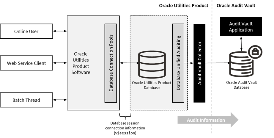 Describes the usage of Audit Vault.