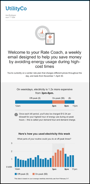 This image shows an example of the first part of the email.