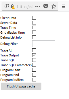 Debug Controls window