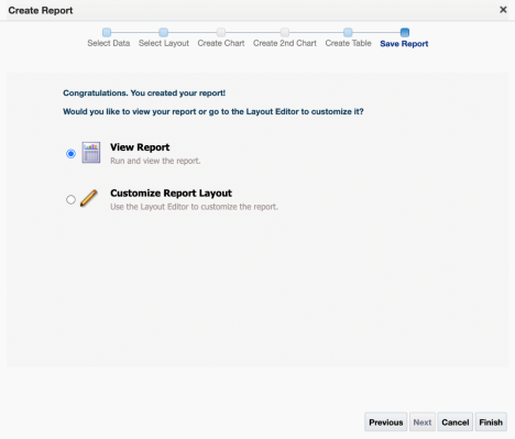 Image of View Report radio button selected on the create report screen