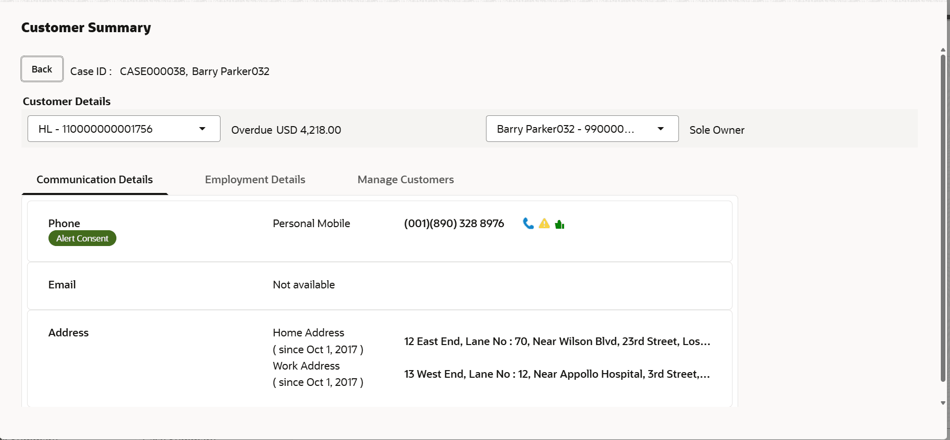 Description of customer-summary2.png follows