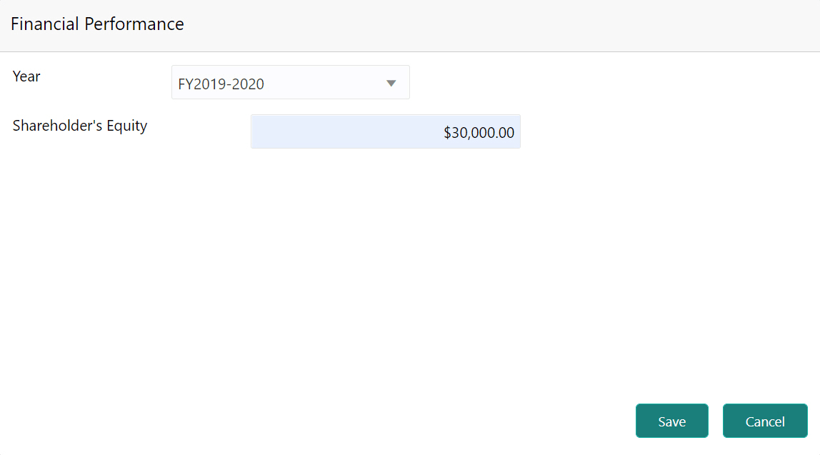 Financial Performance details such as Year and Shareholder’s Equity
