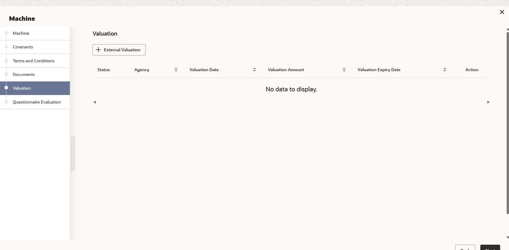 Option to capture external valuation details