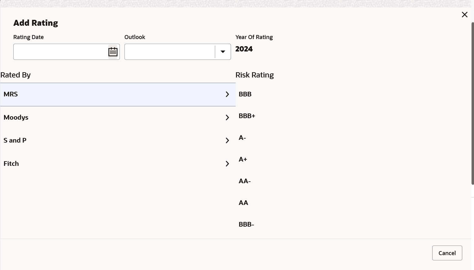Add Rating details such as Rating Date and Outlook