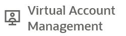 Virtual Account Management