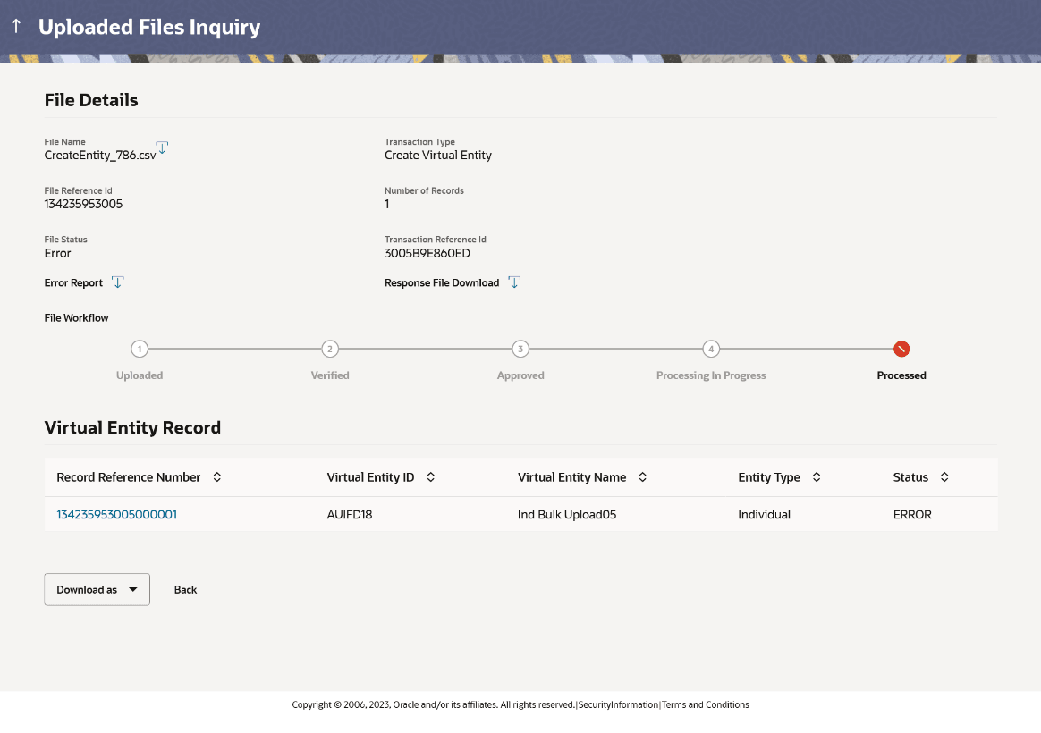 Description of file-details-virtual-entity-creation.png follows