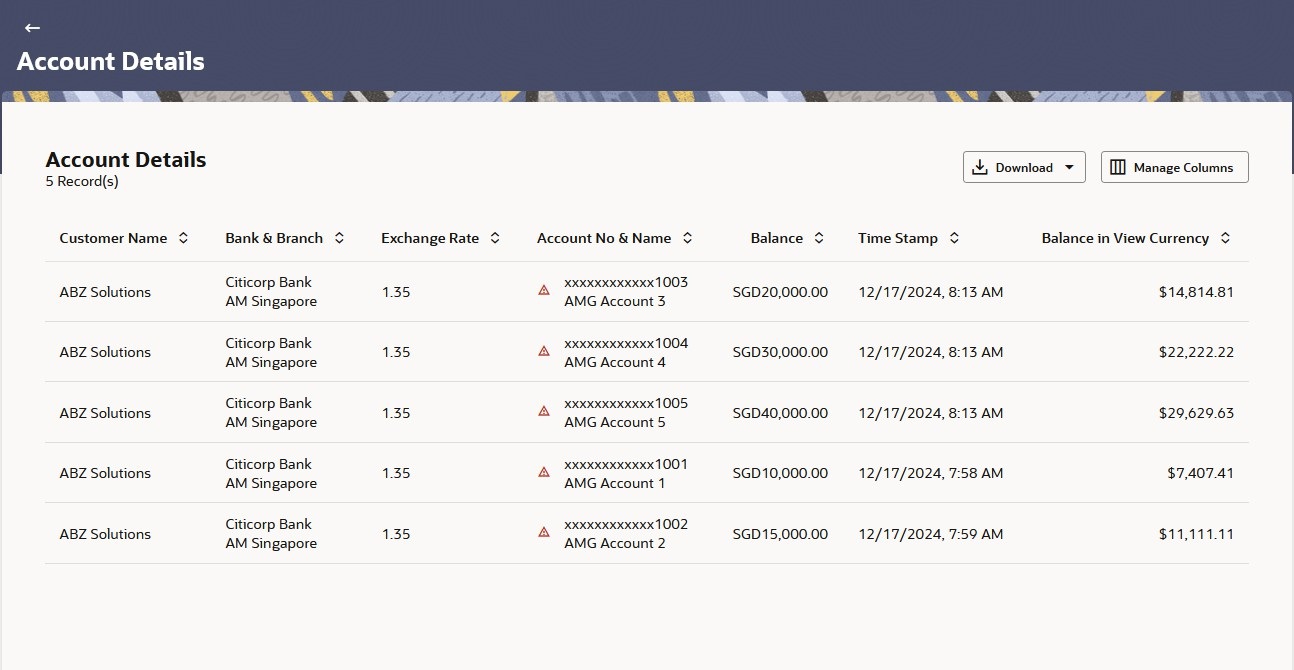 Description of balance-currency_account-details.jpg follows