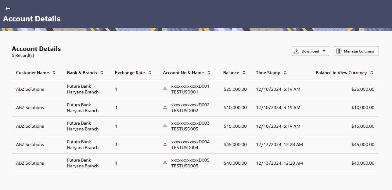 Description of balance-entity_account-details.jpg follows